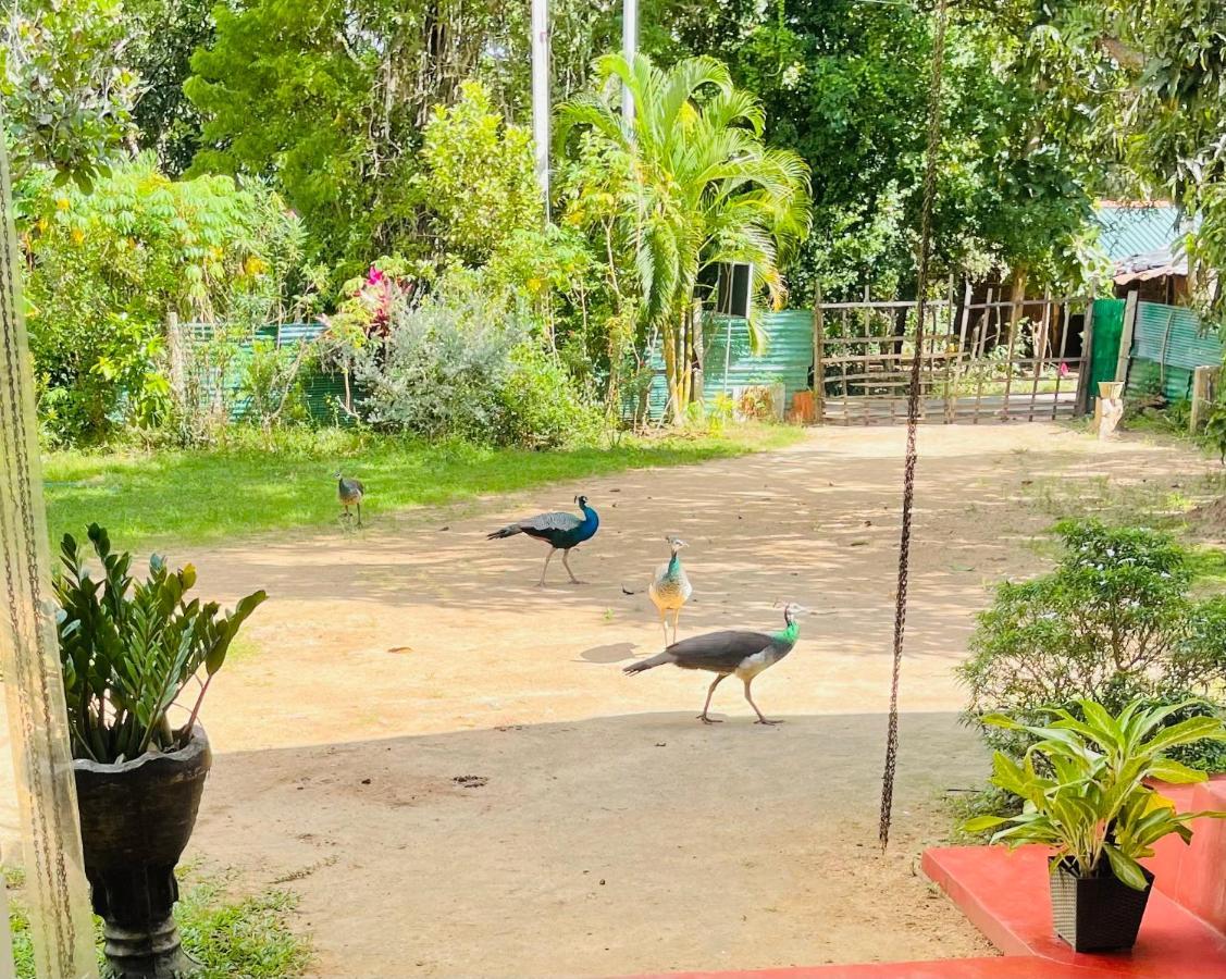 Wijesiri Family Guest House สิกิริยา ภายนอก รูปภาพ